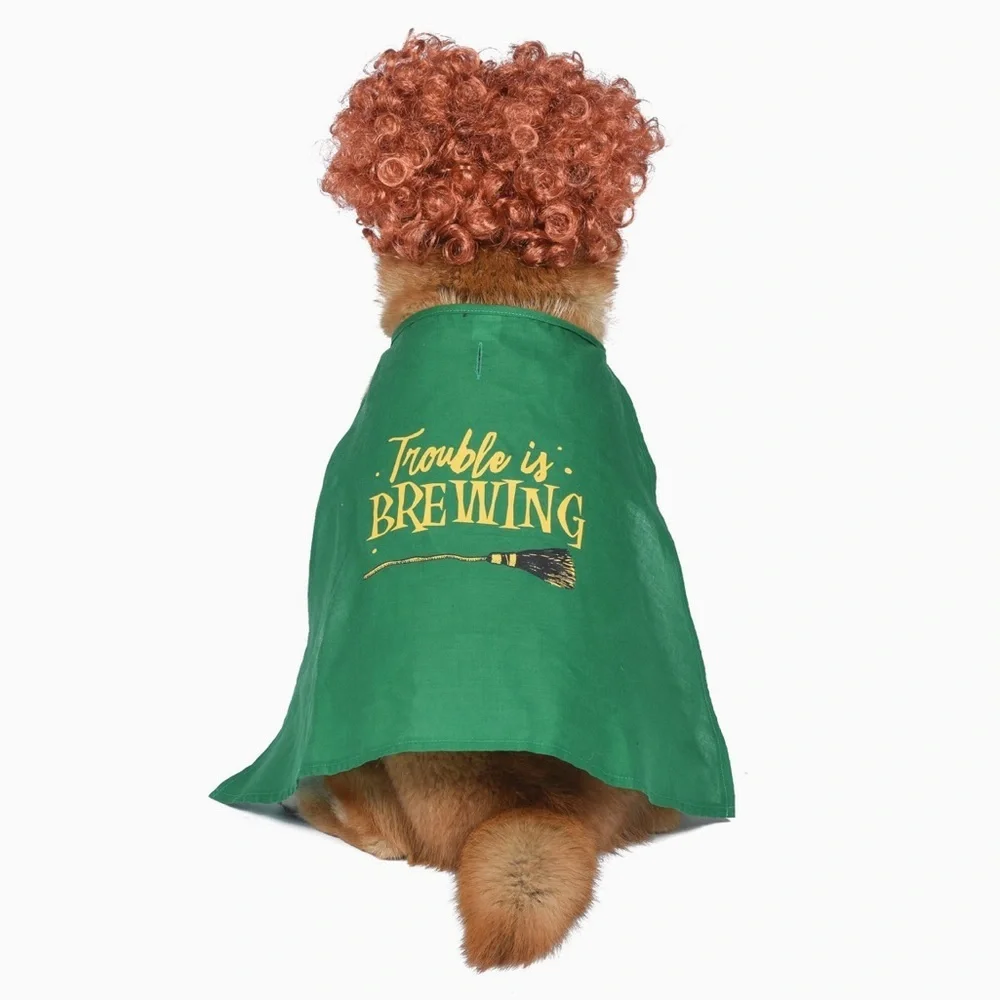 NWT Winifred Halloween Dog Costume